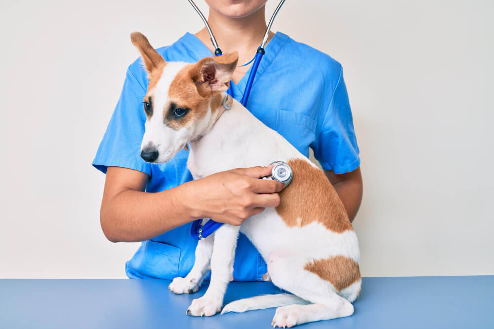 Preventative Care  Palm Coast, FL